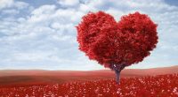 Red Love Heart Tree764739230 200x110 - Red Love Heart Tree - tree, Tomorrow, Love, Heart